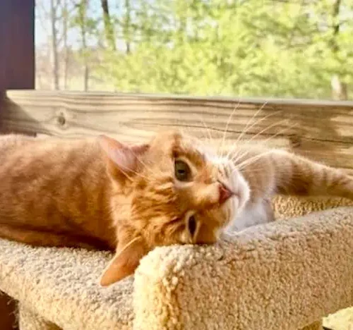 Warm days and live Bird TV – April Updates