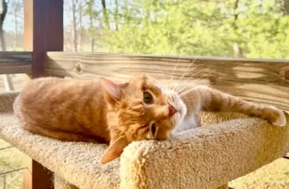 Warm days and live Bird TV – April Updates