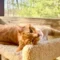 Warm days and live Bird TV – April Updates