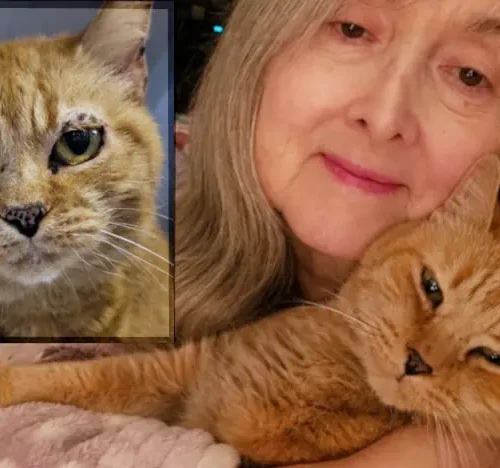 Smiling woman holding orange cat in her arms