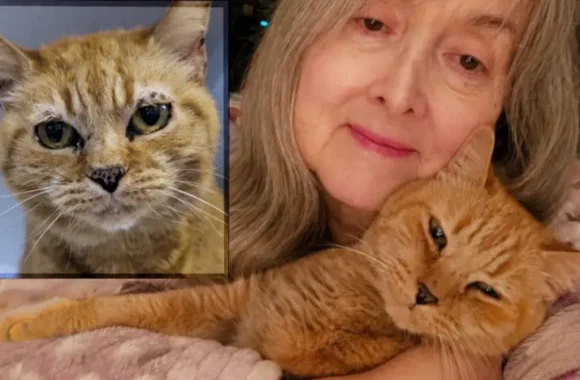 Mango-before-after flat Smiling woman holding orange cat in her arms
