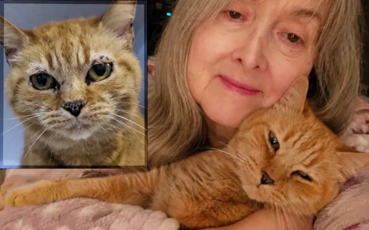 Mango-before-after flat Smiling woman holding orange cat in her arms